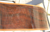 Grace bass binding